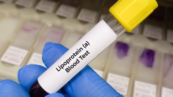 Lipoprotein (a)